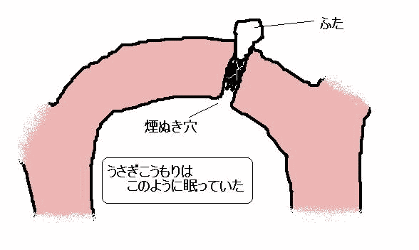 冬眠こうもり