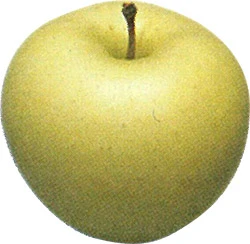 金星
