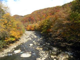 現場下流(葛根田川)の風景。