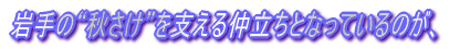 ́gHhx钇ƂȂĂ̂A