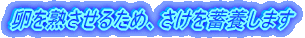 n邽߁A~{܂