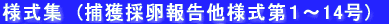 ܂cYvl 